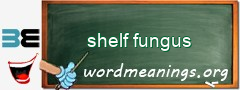 WordMeaning blackboard for shelf fungus